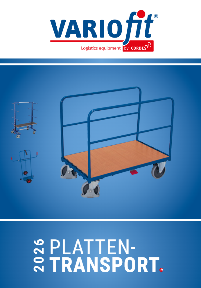 Flyer Plattentransport 2026