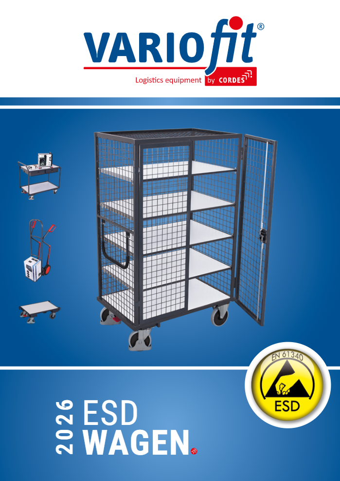 Flyer ESD 2026